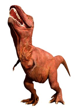 Beyaz zemin üzerinde izole edilmiş bir dinozor Tyrannosaurus Rex 'in 3D görüntüsü