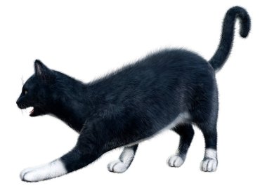 Beyaz arka planda izole edilmiş siyah evcil bir kedinin 3 boyutlu canlandırması