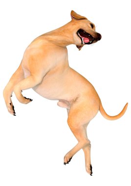 Beyaz arka planda izole edilmiş sarı labrador köpeğinin 3 boyutlu görüntüsü