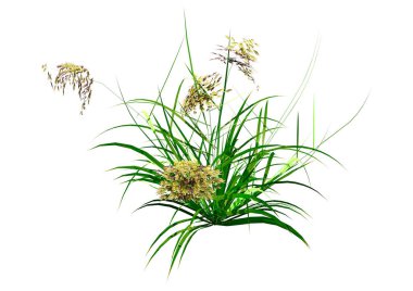 Beyaz arkaplanda izole edilmiş yeşil çimen parçasının 3 boyutlu görüntülenmesi