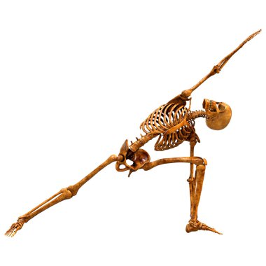 Beyaz arkaplanda izole edilmiş bir insan iskeletinin 3 boyutlu görüntülenmesi