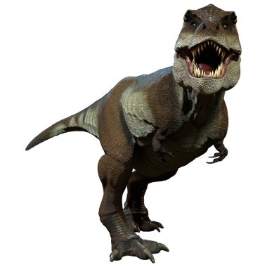 Beyaz arkaplanda izole edilmiş bir dinozor tyrannosaurus mcraeensis 'inin 3D görüntüsü