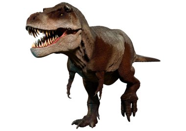 Beyaz arkaplanda izole edilmiş bir dinozor tyrannosaurus mcraeensis 'inin 3D görüntüsü