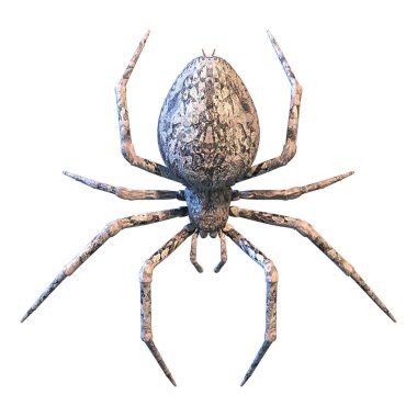 Beyaz arka planda izole edilmiş büyük bir bahçe örümceğinin 3 boyutlu görüntüsü