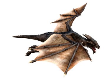 Beyaz arka planda izole edilmiş bir fantezi ejderhanın 3 boyutlu canlandırması