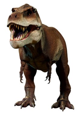 Beyaz arkaplanda izole edilmiş bir dinozor tyrannosaurus mcraeensis 'inin 3D görüntüsü