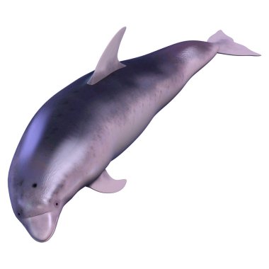 Beyaz arka plan üzerinde izole bir yunusun 3D render