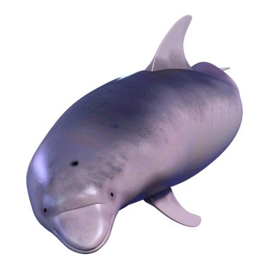 Beyaz arka plan üzerinde izole bir yunusun 3D render