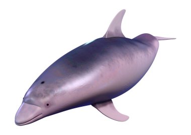 Beyaz arka plan üzerinde izole bir yunusun 3D render