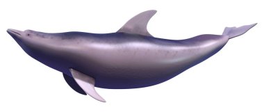 Beyaz arka plan üzerinde izole bir yunusun 3D render