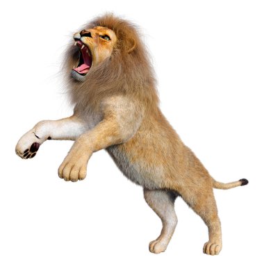 Beyaz arka planda izole edilmiş bir erkek aslanın 3 boyutlu görüntüsü