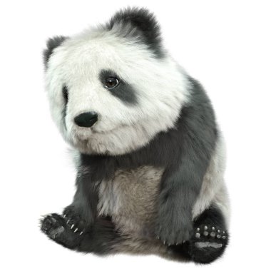 ayı panda beyaz arka plan üzerinde izole 3D render
