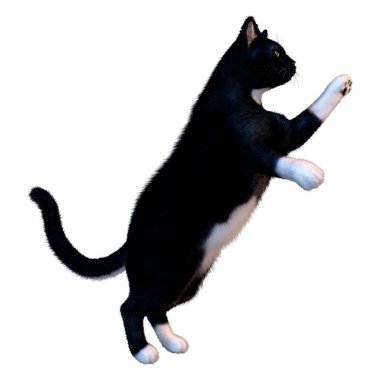 Beyaz arka planda izole edilmiş siyah evcil bir kedinin 3 boyutlu canlandırması