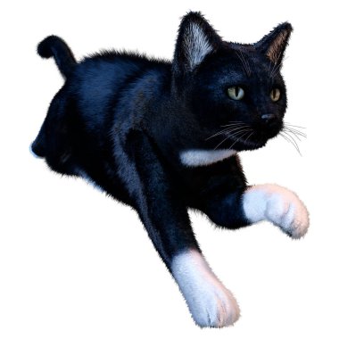 Beyaz arka planda izole edilmiş siyah evcil bir kedinin 3 boyutlu canlandırması