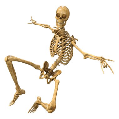 Beyaz arkaplanda izole edilmiş bir insan iskeletinin 3 boyutlu görüntülenmesi