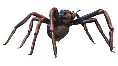 Beyaz arka planda izole edilmiş dev bir fantezi örümceğinin 3 boyutlu görüntüsü