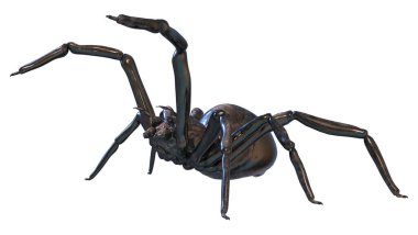 Beyaz arka planda izole edilmiş dev bir fantezi örümceğinin 3 boyutlu görüntüsü