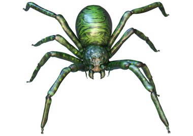 Beyaz arka planda izole edilmiş dev bir fantezi örümceğinin 3 boyutlu görüntüsü