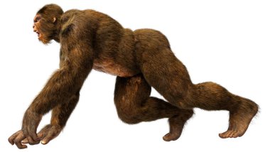 Beyaz arkaplanda izole edilmiş bir Koca Ayak veya Kocaayak 'ın 3B canlandırması