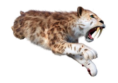 Üç boyutlu bir kılıç dişli kaplan bembeyaz arka planda izole edilmiş.