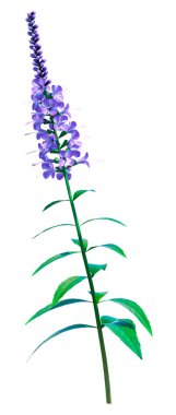 Beyaz arkaplanda 3 boyutlu hız çizimi