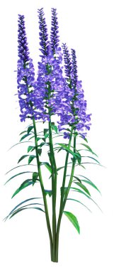 Beyaz arkaplanda 3 boyutlu hız çizimi