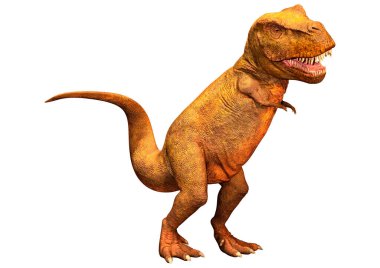 Beyaz zemin üzerinde izole edilmiş bir dinozor Tyrannosaurus Rex 'in 3D görüntüsü