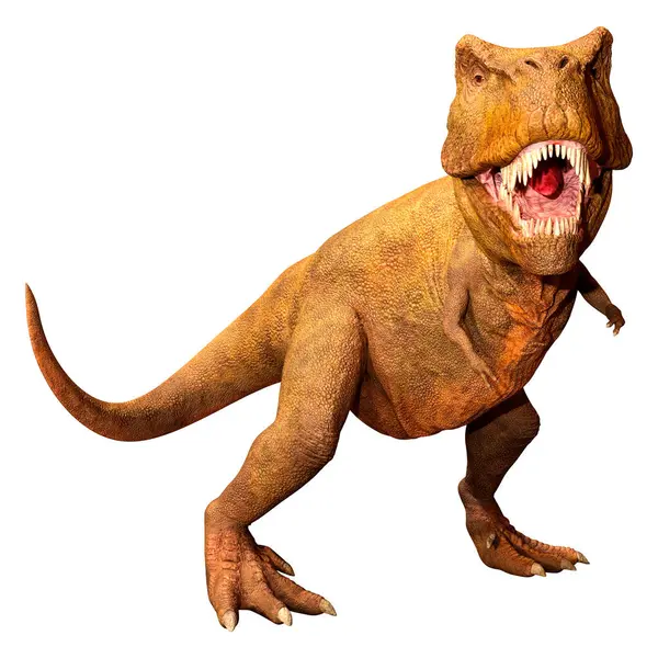 Beyaz zemin üzerinde izole edilmiş bir dinozor Tyrannosaurus Rex 'in 3D görüntüsü