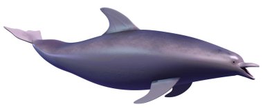 Beyaz arka plan üzerinde izole bir yunusun 3D render