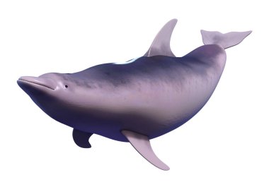 Beyaz arka plan üzerinde izole bir yunusun 3D render