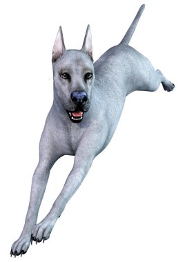 Beyaz arka plan üzerinde izole mavi bir Danua köpek 3D render