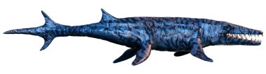 Bir Mosasaurus 'un 3 boyutlu yansıması, deniz yaratığı, tarih öncesi dinozor beyaz arka planda izole edilmiş.