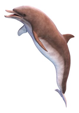 Beyaz arka plan üzerinde izole bir yunusun 3D render