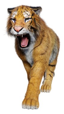 Beyaz arka planda izole edilmiş büyük bir kedi kaplanının 3 boyutlu görüntüsü