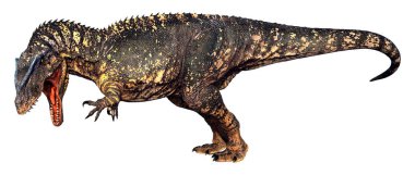 3D rendering of a dinosaur gigantosaurus isolated on white background