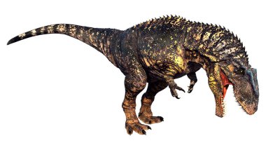 3D rendering of a dinosaur gigantosaurus isolated on white background