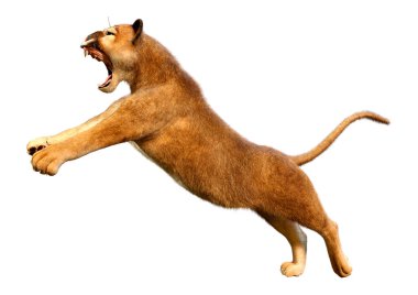 Beyaz arka plan üzerinde izole bir büyük kedi Puma 3D render