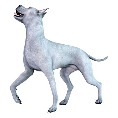 Beyaz arka plan üzerinde izole mavi bir Danua köpek 3D render