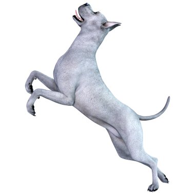 Beyaz arka plan üzerinde izole mavi bir Danua köpek 3D render