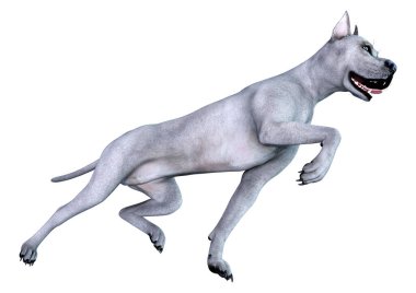 Beyaz arka plan üzerinde izole mavi bir Danua köpek 3D render