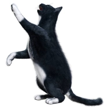 Beyaz arka planda izole edilmiş siyah evcil bir kedinin 3 boyutlu canlandırması