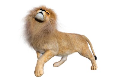 Beyaz arka planda izole edilmiş bir erkek aslanın 3 boyutlu görüntüsü