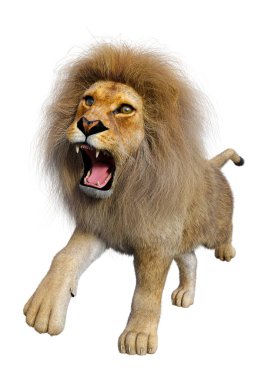 Beyaz arka planda izole edilmiş bir erkek aslanın 3 boyutlu görüntüsü