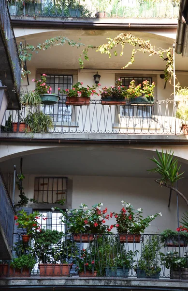 Stock image Backyard of an old Italian house