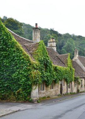Cotswolds, Wiltshire, İngiltere 'deki Combe Kalesi köyünde bitkilerle süslenmiş geleneksel taş evler.