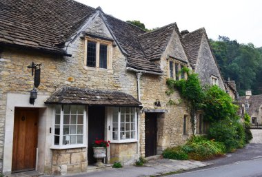 Cotswolds, Wiltshire, İngiltere 'deki Combe Kalesi köyünde bitkilerle süslenmiş geleneksel taş evler.