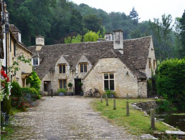 Cotswolds, Wiltshire, İngiltere 'deki Combe Kalesi köyünde bitkilerle süslenmiş geleneksel taş evler.