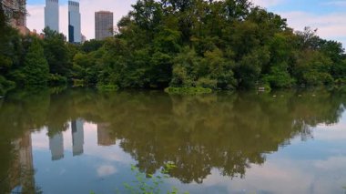 New York, ABD, 8 Temmuz 2025: Central Park 'ta sakin bir gölet. Ziyaretçiler Central Park 'taki sakin gölette huzur bulabilirler. Etrafı yeşillik ve ufuk çizgisi ile çevrili..