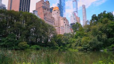 Çimlerle ve ağaçlarla çevrili küçük göletin yakınındaki görüntüler. Arka planda New York 'un muhteşem gökdelenleri. Central Park Doğa.