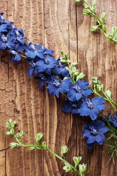 Summer Still Life Background Blue Garden Flowers Wooden Surface — Stock Photo, Image